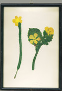 Pressblumen
