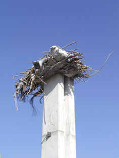 Zustand 2