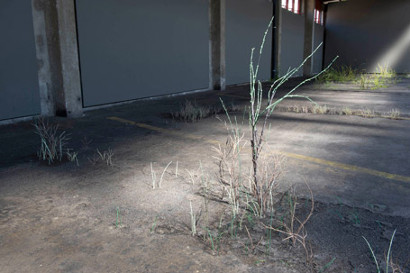 Zustand 3 / II