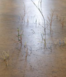 Zustand 3 / III
